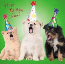 Puppy is flying on the balloons. Birthday Blank Greetings Card Dog Puppies Lots Of Cute Designs To See Freepost Happy Birthday Puppy Happy Birthday Dog Dog Birthday