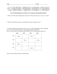 Predict genotypes of parents and offspring using a punnett square. 11 2 And Dihybrid Practice Og
