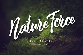 An independent archive of typography. Nature Force Script In Fonts On Yellow Images Creative Store