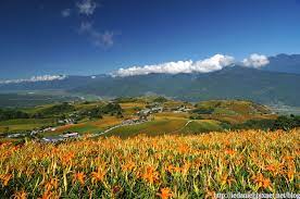2011花況極優的花蓮六十石山金針花季 停泊美麗角落 痞客邦 natural landmarks formosa nature