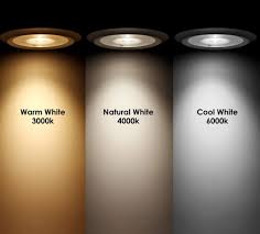 But if your plants are doing well under the 5000k lights, why change them? What Is Color Temperature Cct 3000k Vs 4000k Vs 5000k Vs 6000k High Bay Pro
