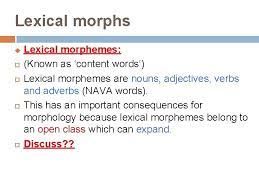 Check spelling or type a new query. Week 3 Morphology Dr Monira I Almohizea What