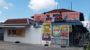 Check spelling or type a new query. Momoq Petshop Alor Star Kedah Psherbs
