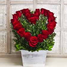 Maybe you would like to learn more about one of these? 26 Roses For Love By Wholesale Flowers