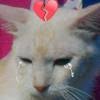 私はあなたを愛しています。 aku mencintaimu 彼女はジョンが以前に愛してくれていたと思った。 dia mengira bahwa dulu john mencintainya. Apa Artiya Ini Harus Di Translate Ke Bahasa Indonesiaã‚ãŸã—ã¯ ã‚ãªãŸã‚'æ„›ã—ã¦ã„ã¾ã™ Brainly Co Id