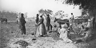 As an abolitionist, she acted as intelligence gatherer, refugee organizer, raid leader, nurse, and fundraiser, all as part of her efforts to end slavery and combat racism. Harriet Tubman Biography Born Into Slavery