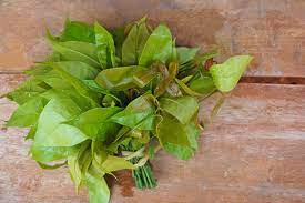 We did not find results for: Pahami Ragam Manfaat Daun Melinjo Yang Berguna Bagi Kesehatan