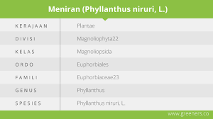 We did not find results for: Meniran Tumbuhan Liar Berkhasiat Obat Greeners Co