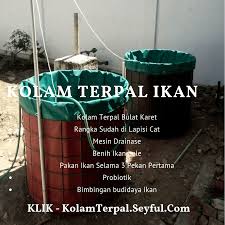 Jual Kolam Terpal Di Malang