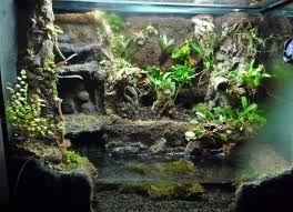 Hydra Forum Aquariums Terrariums Gardening Reptile Terrarium Frog Terrarium Terrarium