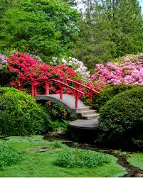Witt winter garden to enjoy the fragrances of honeysuckle and witch hazel, and admire paperbark maples and birches. 9 Best Places To Find Cherry Blossoms In Seattle Small Town Washington