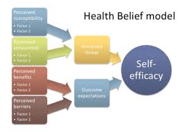 Promoting Healthy Populations Exam 1 Flashcards Questions And Answers Quizlet