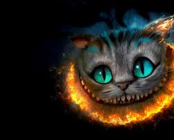 Fondos De Pantalla En 3d Para Android Gratis Fondos De Gato Empapelado De Gato Mejores Fondos De Escritorio