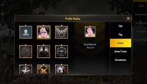 How To Change Your Avatar Avatar Frame And Flag In Pubg Mobile 2019 Plain Memory