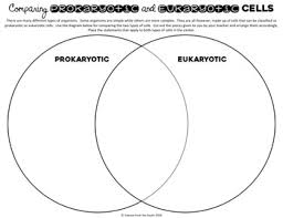 Prokaryotic And Eukaryotic Cells Venn Diagram Activity