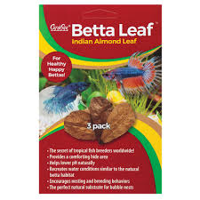 Go to your dark place with these gothy petsmart pieces for your betta bowl or aquarium. Caribsea Betta Leaf Fish Live Plants Petsmart