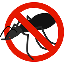 Rats, mice, wasps, fleas, bed bugs, bees, ants, rabbits, woodworm, birds. East Coast Pest Control Pest Control 48 Eldridge Park Way Orleans Ma Phone Number