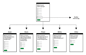 Ethnic Groups Gov Uk Design System