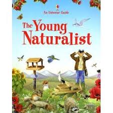 The Young Naturalist Usborne Guide Andrew Mitchell Naturalist Kids Books List Books For Boys