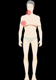 Lymphoma Action Staging Of Lymphoma