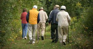 Los pensionados tienen hasta el próximo 30 de junio para actualizar su registro único tributario (rut), debido a que fue modificado el código de su actividad económica. Pensionados Quienes Deben Actualizar El Rut Ante La Dian