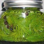 Gesundheit Tannwipfel Sirup Rezept Mit Bild Rezept Sirup Rezepte Hausgemachte Lebensmittelgeschenke Hustensirup