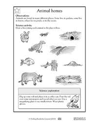 Science worksheets and online activities. 1st Grade Science Worksheets Word Lists And Activities Greatschools