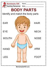 Pin On Body Parts Worksheets Pdf