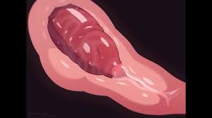 Dinosaur blowjob r34 futanari