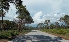 Check spelling or type a new query. Oscar Scherer State Park Wikipedia