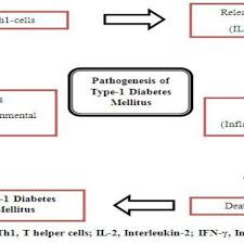 a schematic diagram for pathogenesis of type 1 diabetes