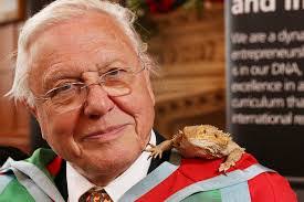 David Costley's Instagram, Twitter & Facebook