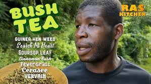 Bush Tea by Uncle Clyde in Paramin, Trinidad & Tobago