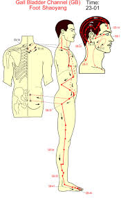 The gallbladder stores bile, which helps the body break down and digest fats that you eat. Gallbladder Channel Acupuncture Acupressure Treatment Acupressure