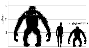 the real bigfoot gigantopithecus would have been terrifying