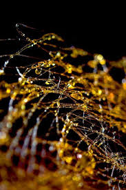 De L Or Dans Ma Cuisine B Comme Bon Decoration Caramel Cuisine Or