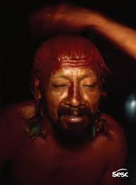 Variacoesdocorposelvagem viveirosdecastro by Sesc em São Paulo