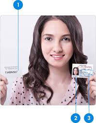 Freelancer Hire Freelancers Freelance Freelance Jobs Website
