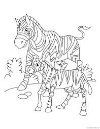 We offer a range of downloadable coloring pages in striking designs, from easy to advanced, so your students can color to their heart's content. Baby Zebra Coloring Pages With Mom Coloring4free Coloring4free Com