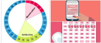 Ovulation Calendar Definition Hoool Health Wellness