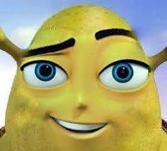 39 Cursed Images That Are Just Plain Wrong Bee Movie Memes Funny Memes About Girls Shrek