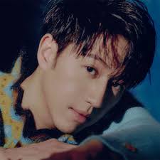 Chef Anh Sung-Jae: Fear, Fame, Fire