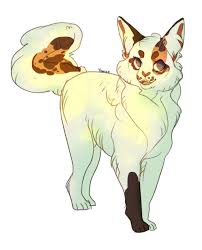 My fursona begging for something lol. Aurinkoinen By Yowico On Deviantart Warrior Cat Oc Warrior Cats Warrior Cats Art