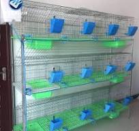 Galvanized 24 Hole Rabbit Breeding Cage - 4 Tiers, OEM ...