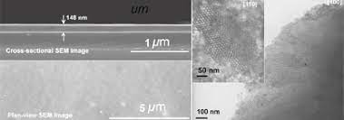 The differences between the cell lines were significant (p≤0.05). New Technique For Viewing Nanofilms Created