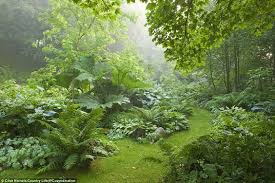 Birkhall Estate In Scotland Scottish Home Of The Prince Of Wales On The Balmoral Estate The Late Queen Mother Designed The Garden Herself Shade Garden Woodland Garden Garden Inspiration