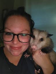Opossum lifespan and owner experiences