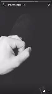 The artist has been a huge success and a teenage sensation. Shawn Mendes Gets Elephant Tattoo Teen Vogue