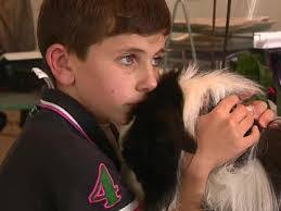 Gregory Laroche's Instagram, Twitter & Facebook