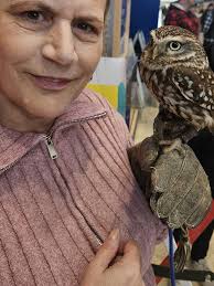 Welcome to the Owl Lounge. 14 years ago, we had our 1st bird of prey, skye  the barn owl. We loved the idea of caring for such a beautiful bird and hand